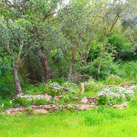 Agriturismo Sogno Latino Iglesias Extérieur photo