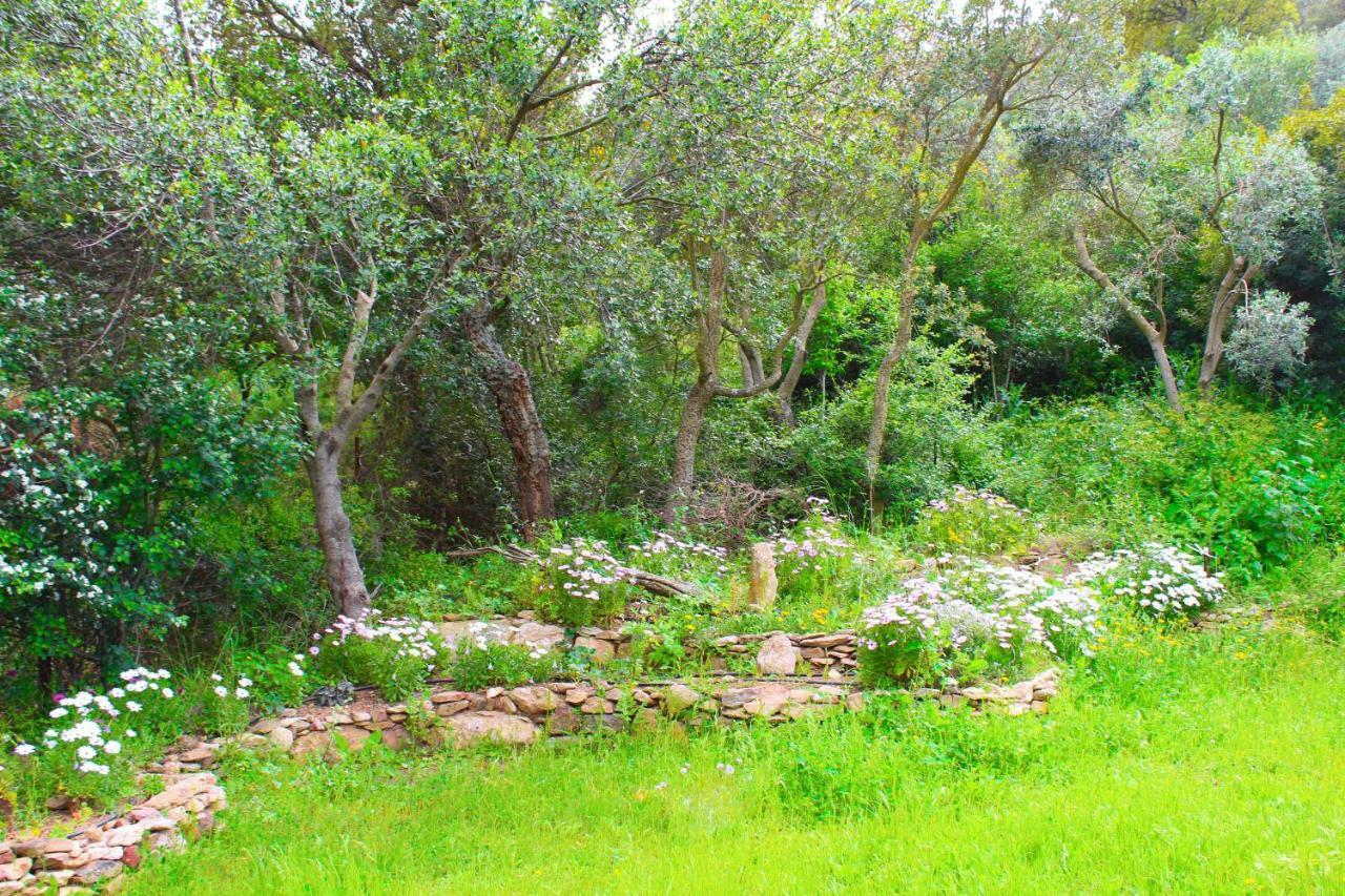 Agriturismo Sogno Latino Iglesias Extérieur photo